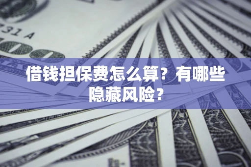 武汉借钱担保费怎么算？有哪些隐藏风险？