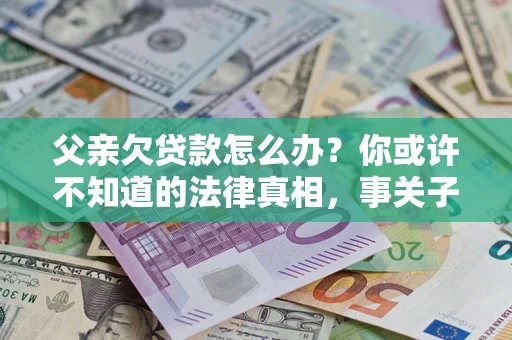 武汉父亲欠贷款怎么办？你或许不知道的法律真相，事关子女未来