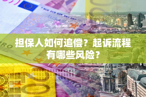 武汉担保人如何追偿？起诉流程有哪些风险？