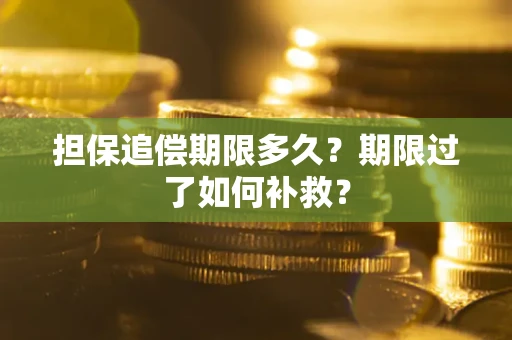 武汉担保追偿期限多久？期限过了如何补救？