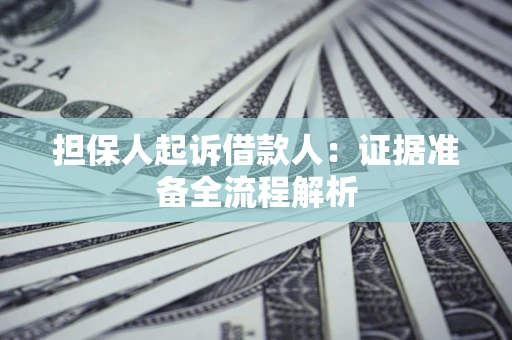 武汉担保人起诉借款人：证据准备全流程解析