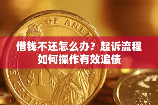 武汉借钱不还怎么办？起诉流程如何操作有效追债
