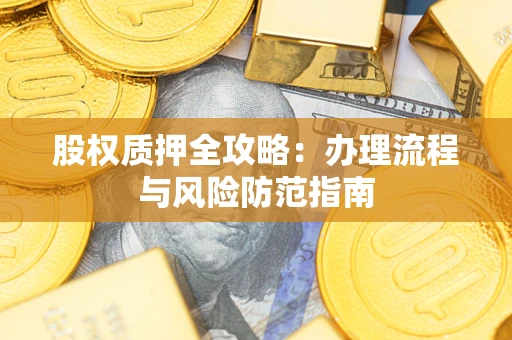 武汉股权质押全攻略：办理流程与风险防范指南