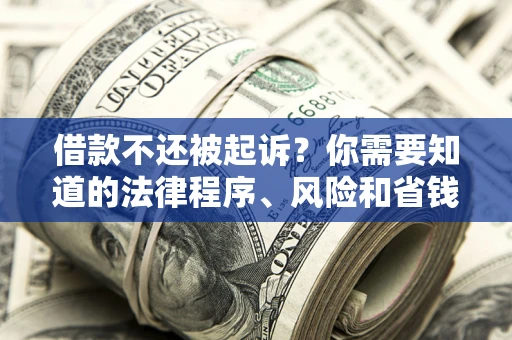 武汉借款不还被起诉？你需要知道的法律程序、风险和省钱技巧
