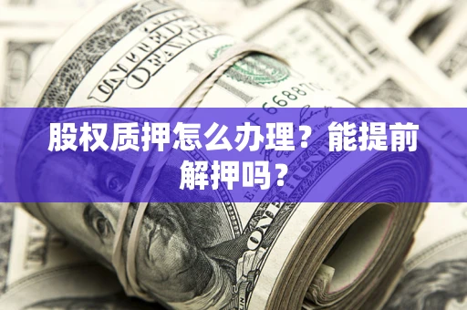 武汉股权质押怎么办理？能提前解押吗？